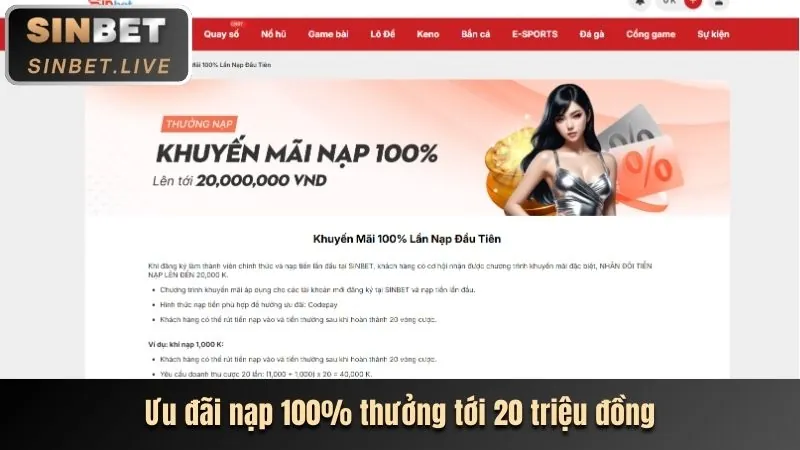 Tiền thưởng và hoàn trả cao hơn